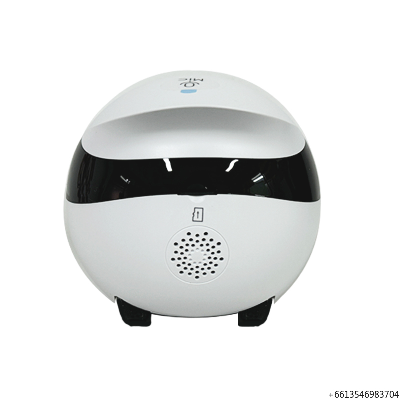 Home Security Robot Dog - كاميرا إنابوت إي بو سي الذكية