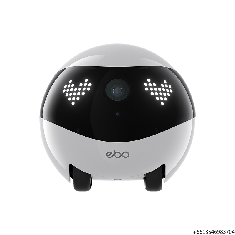 Home Security Robot Dog - كاميرا إنابوت إي بي أو إير2