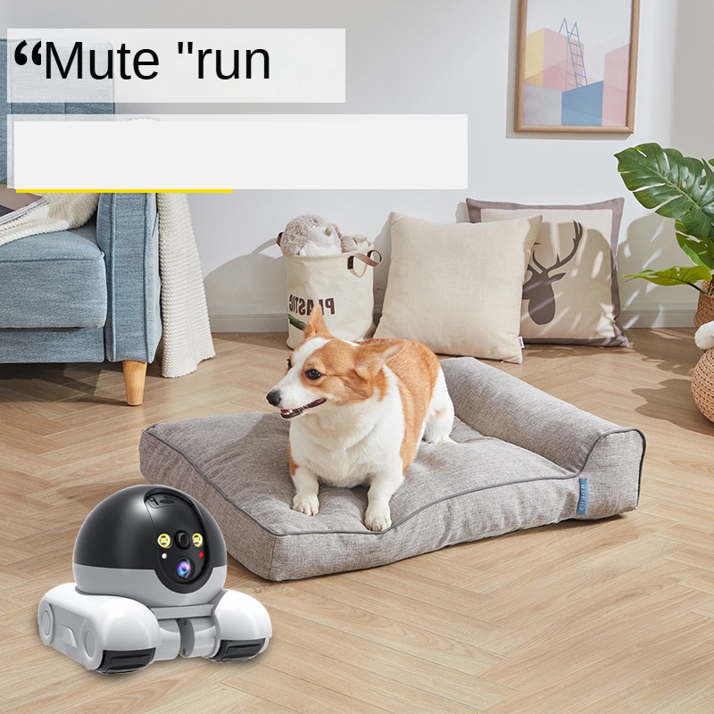 الذكية المزدوجة عدسة IP قبة كا - مراجعة Home Security Robot Dog وسعره
